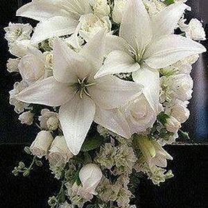 Meet your Posher, Hanadi